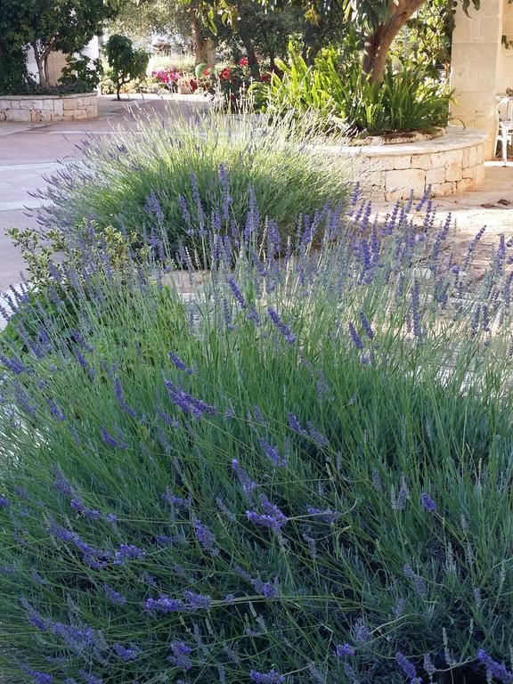 Il Melograno Bed & Breakfast Ceglie Messapica Exterior foto